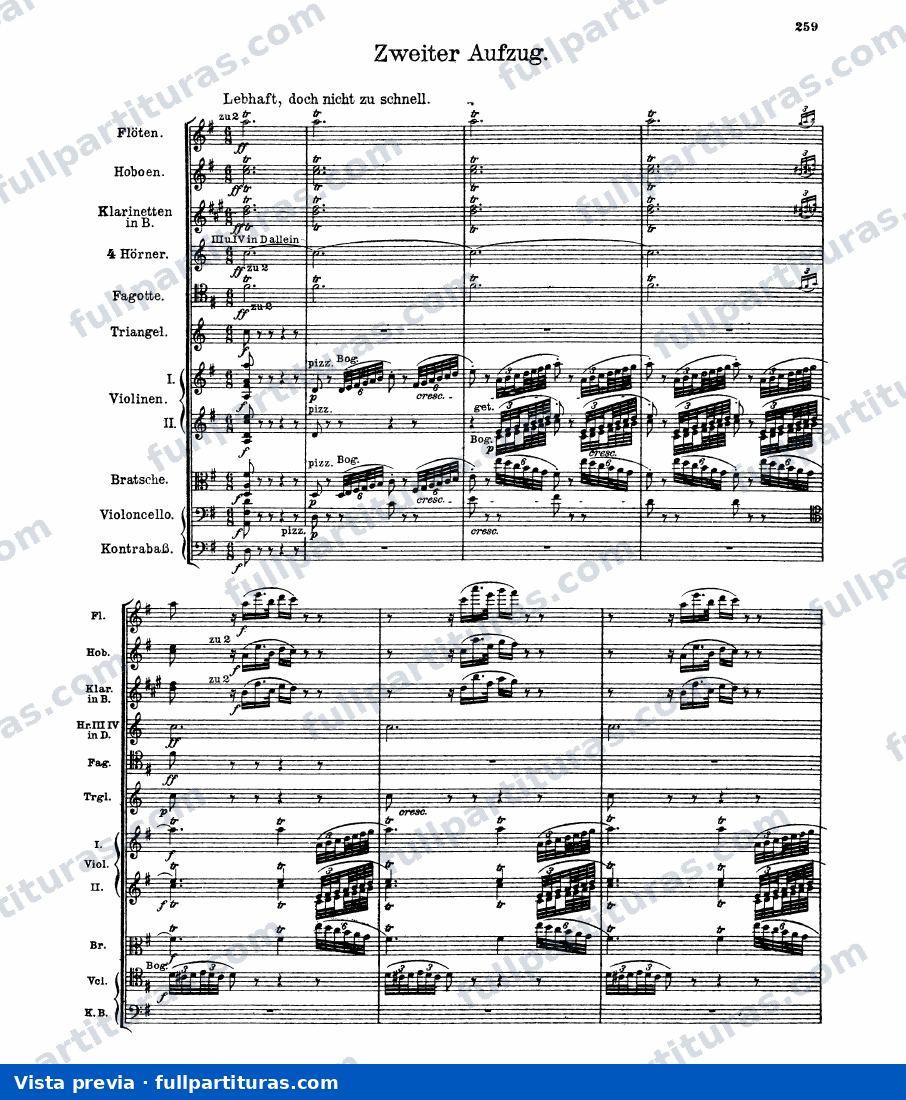 Die Meistersinger von Nüremberg Los Maestros Cantores de Nüremberg: Acto 2 — preview