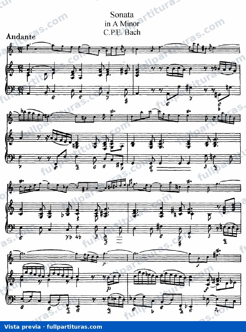 Sonata para Flauta en A — preview