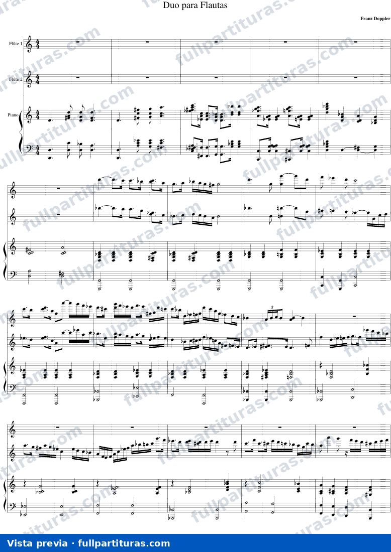 Duo para Flauta — preview
