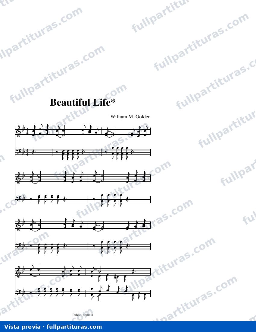 Beautiful Life* — Vorschau