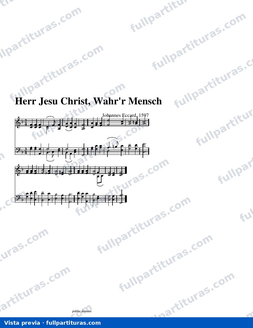 Herr Jesu Christ, Wahr'r Mensch — visualização
