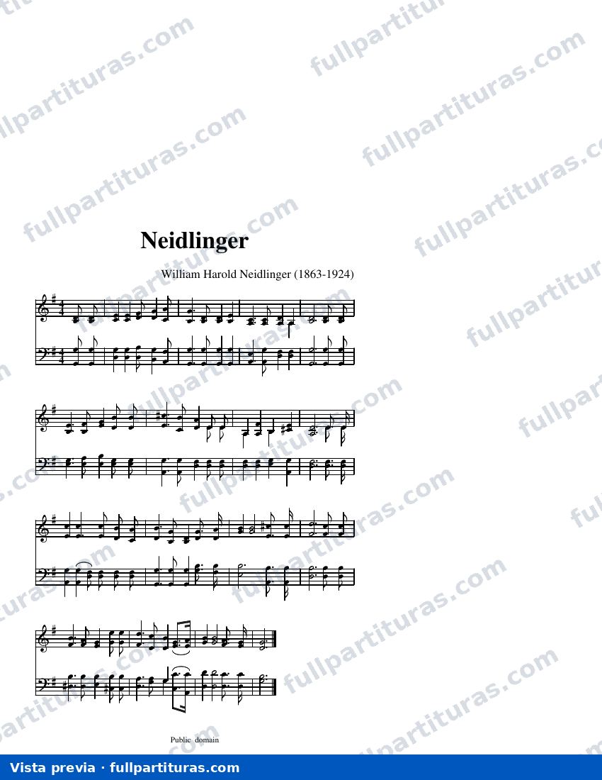 Neidlinger — visualização