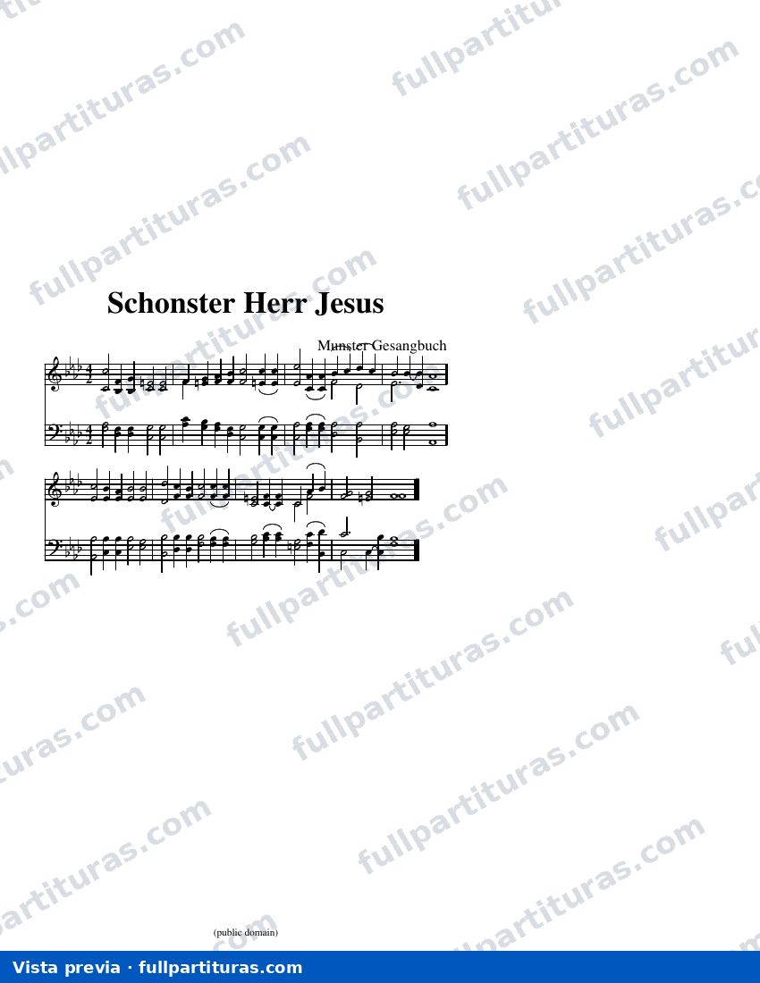Schonster Herr Jesus (Munster) — visualização