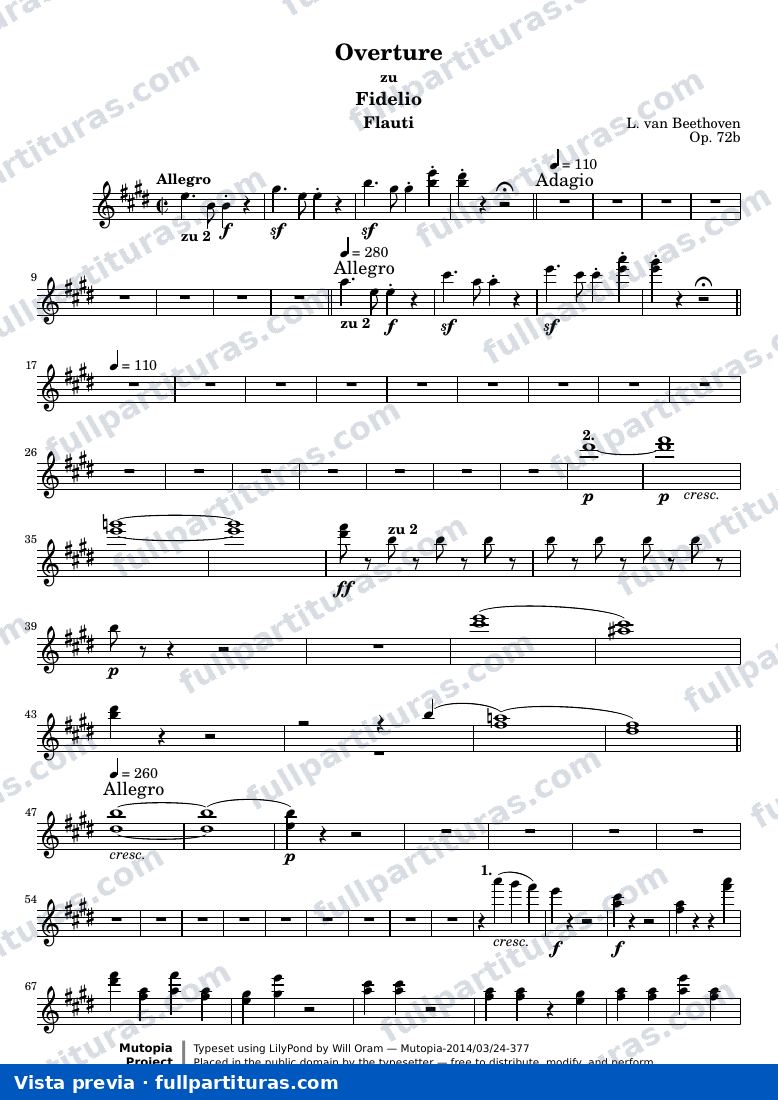 Fidelio Overture — Flauti sc — preview