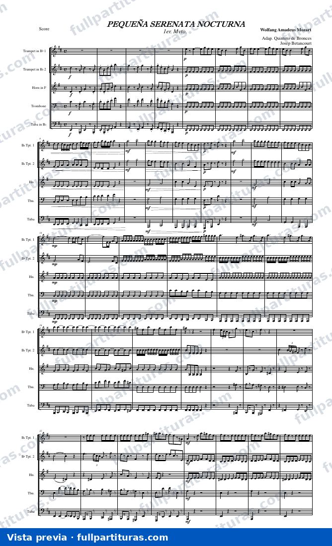Pequeña serenata nocturna — vista previa