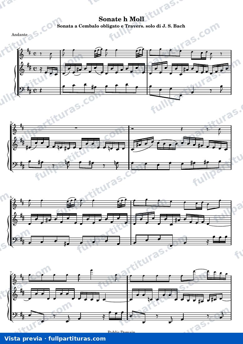 Sonata in B minor for flute and harpsichord — Score — visualização
