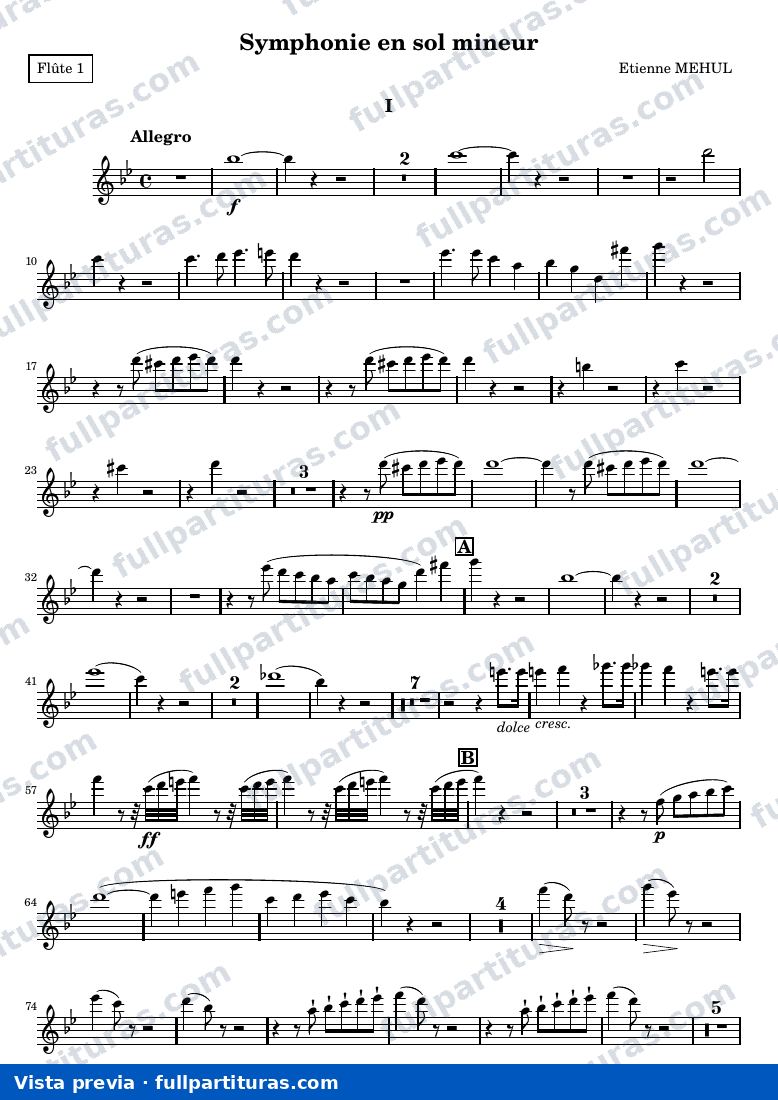 Symphonie en sol mineur — Flute1 — anteprima
