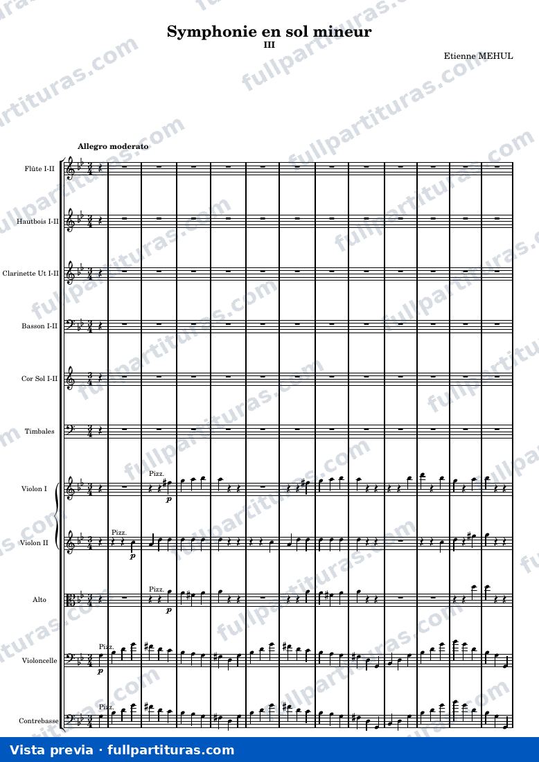 Symphonie en sol mineur — Score 3 — aperçu