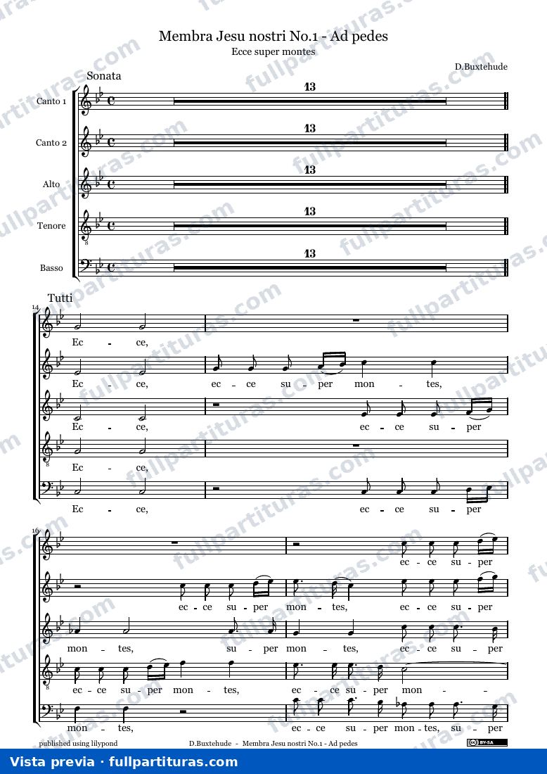 Membra Jesu nostri — MembraJesuNostri voices — aperçu