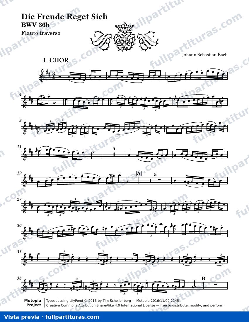 Die Freude Reget Sich — Bwv0036b flute — vista previa