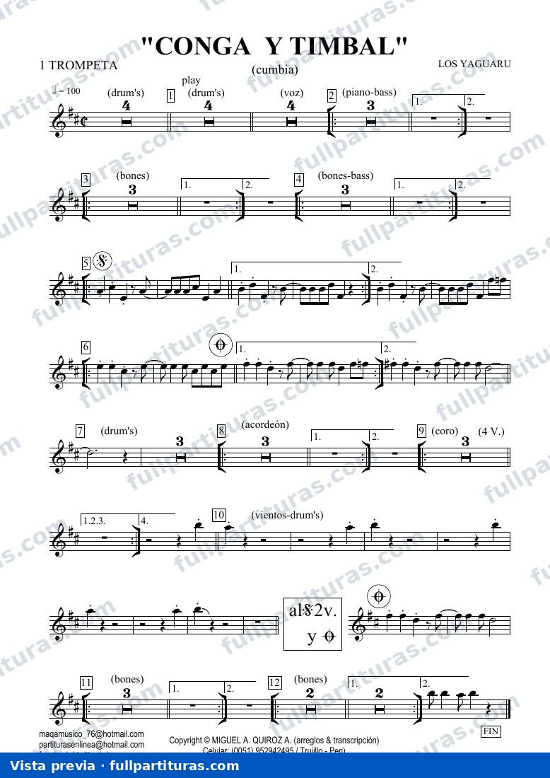 Conga y timbal — vista previa