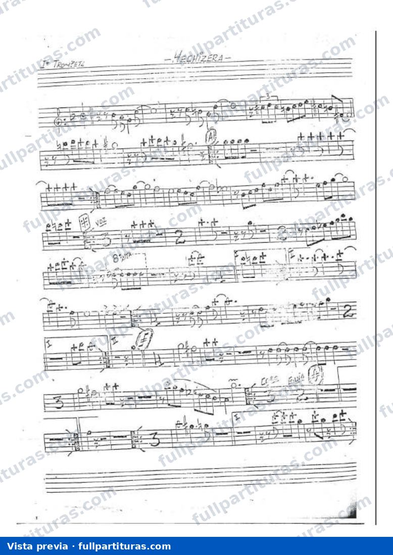 Hechicera — preview