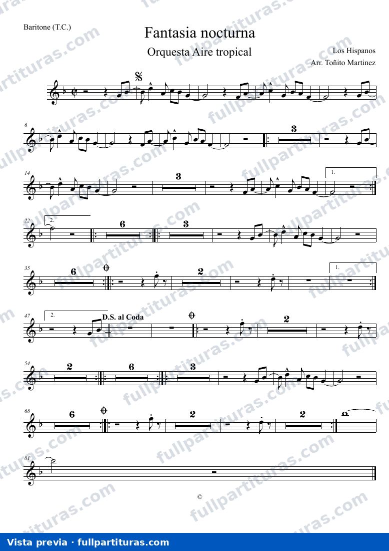 Fantasía nocturna — preview