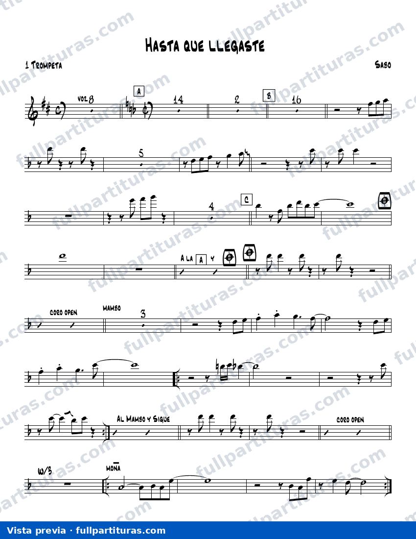 Hasta que llegaste tú — preview