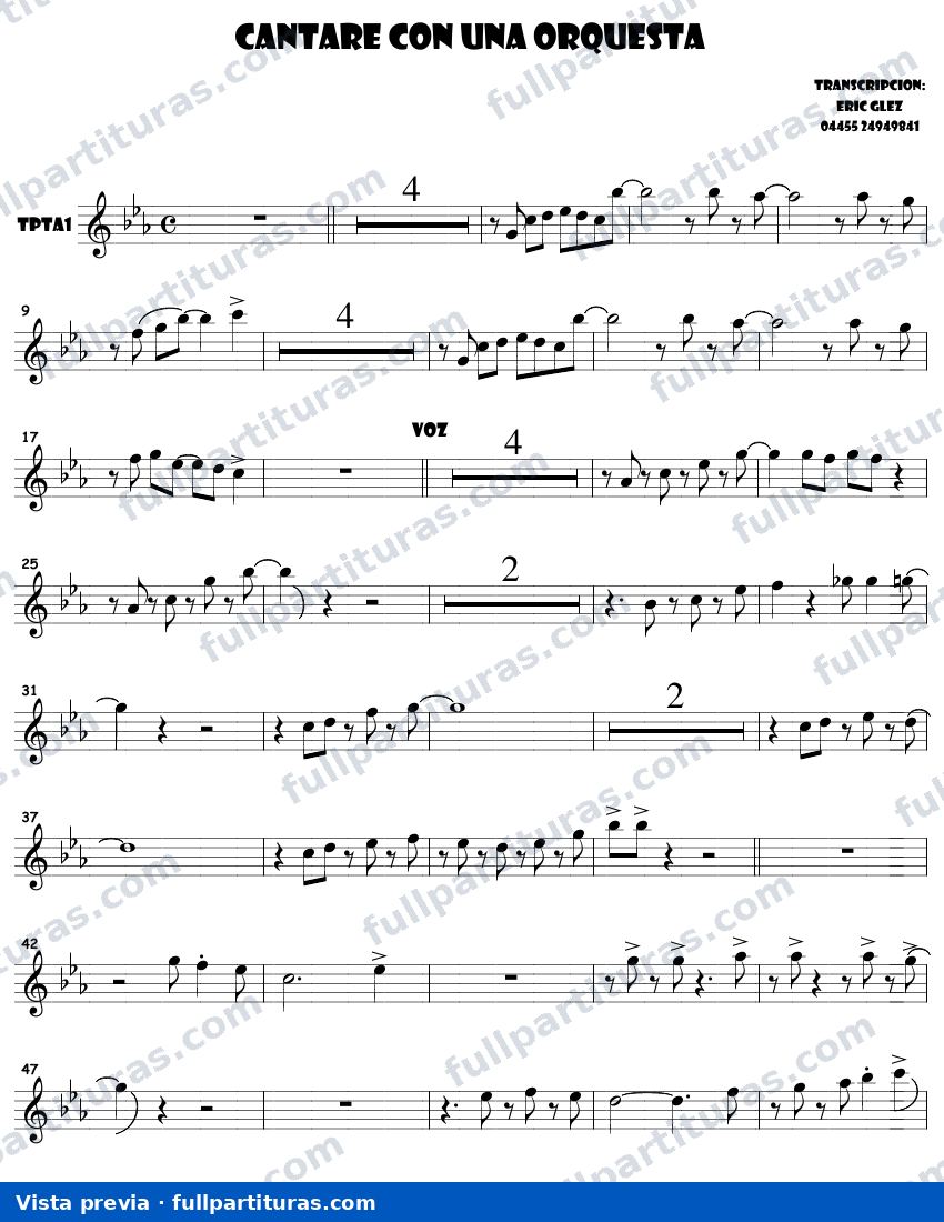 Cantaré con una orquesta — vista previa