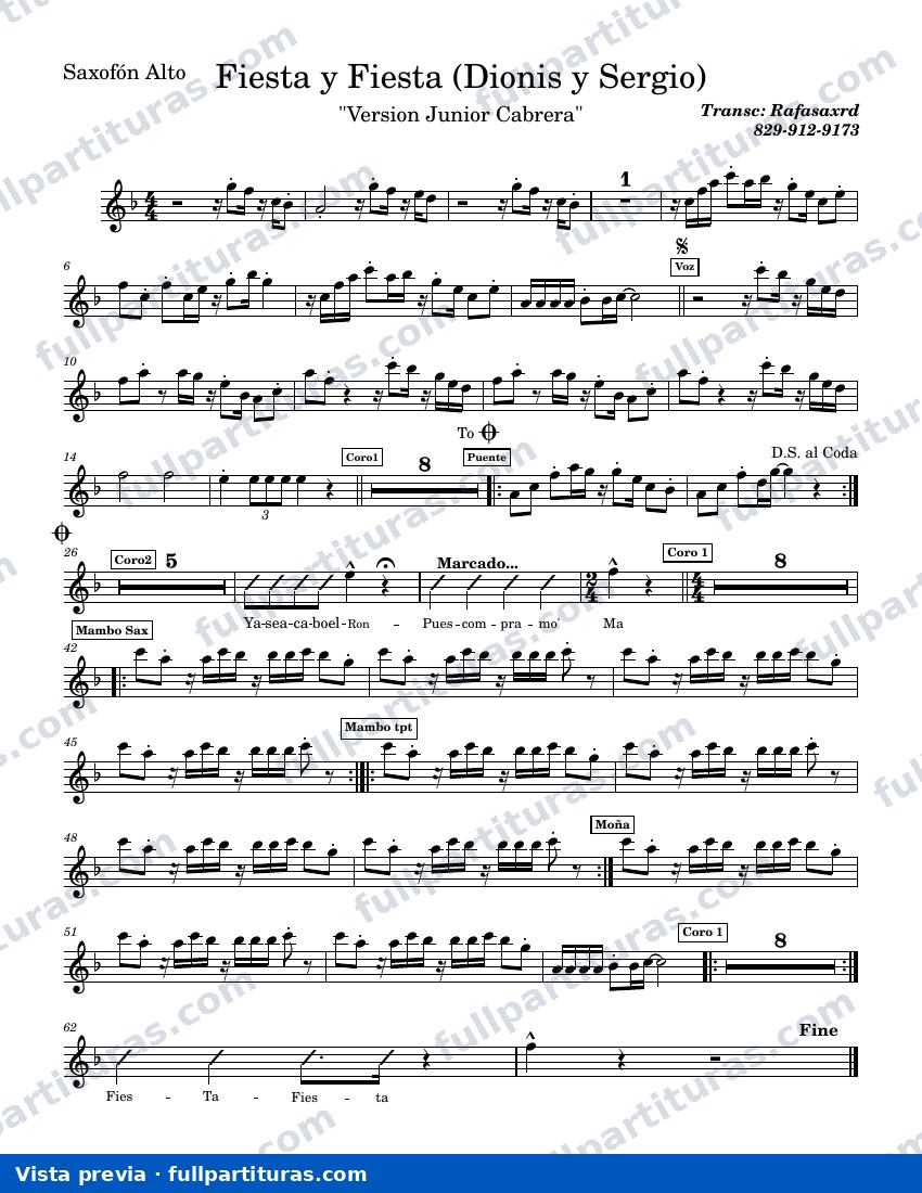 Fiesta y fiesta (Versión Junior Cabrera) — preview