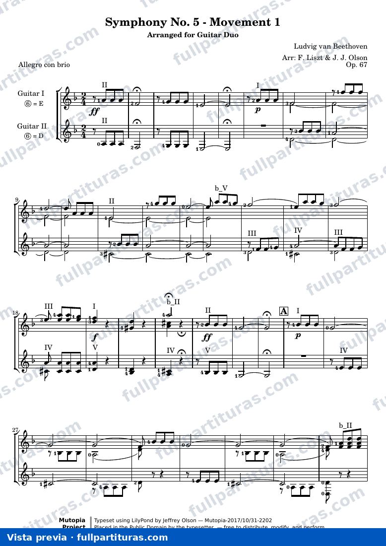 Ludwig van Beethoven - Symphony No. 5 - Movement 1 — preview