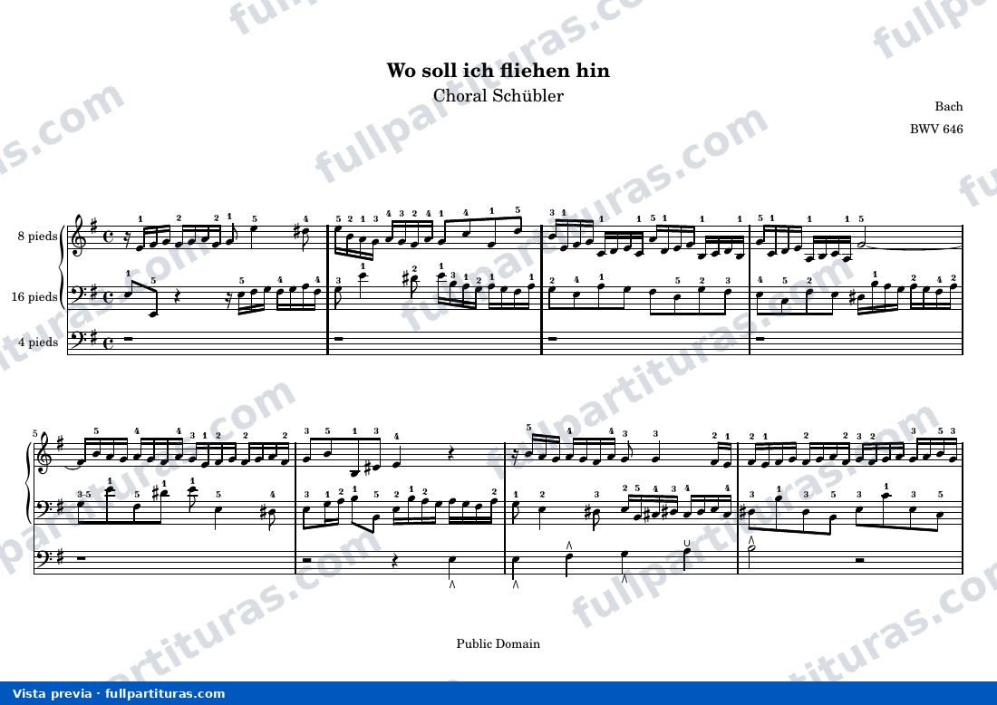 Johann Sebastian Bach - Wo soll ich fliehen hin — preview