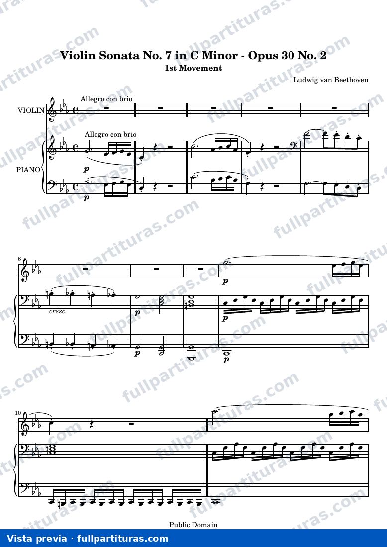 Ludwig van Beethoven - Violin Sonata No. 7 in C Minor, 1st Movement: Allegro con brio — preview