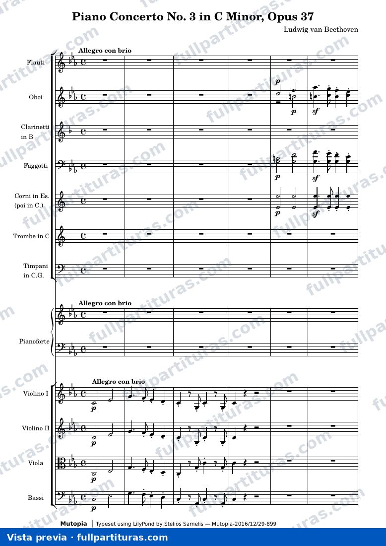 Ludwig van Beethoven - Piano Concerto No. 3 in C Minor, 1st Movement — preview