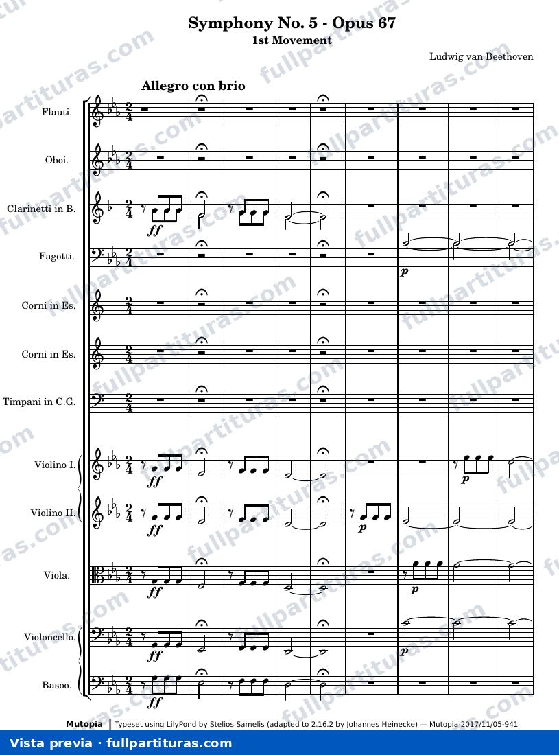 Ludwig van Beethoven - Symphony No. 5, 1st Movement — preview