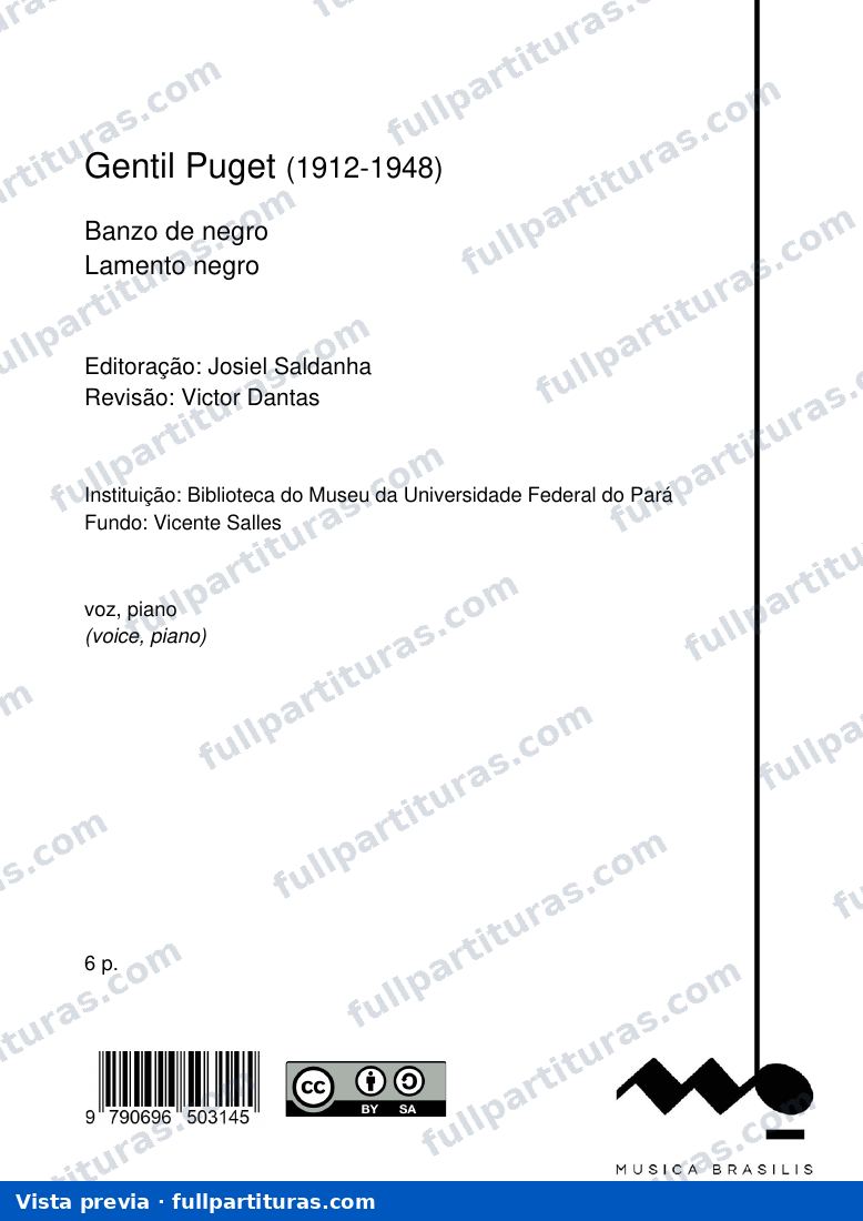 Banzo de negro — preview