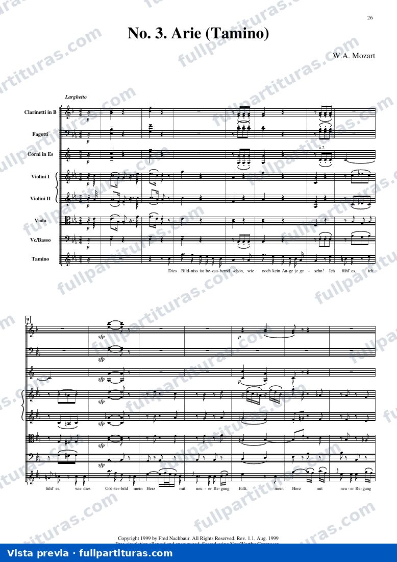 Marcha nupcial: Tamino — preview
