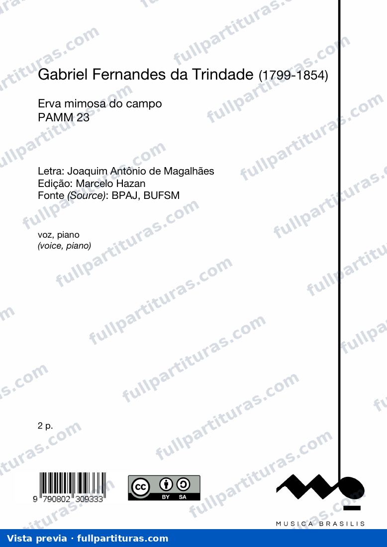 Erva mimosa do campo — preview