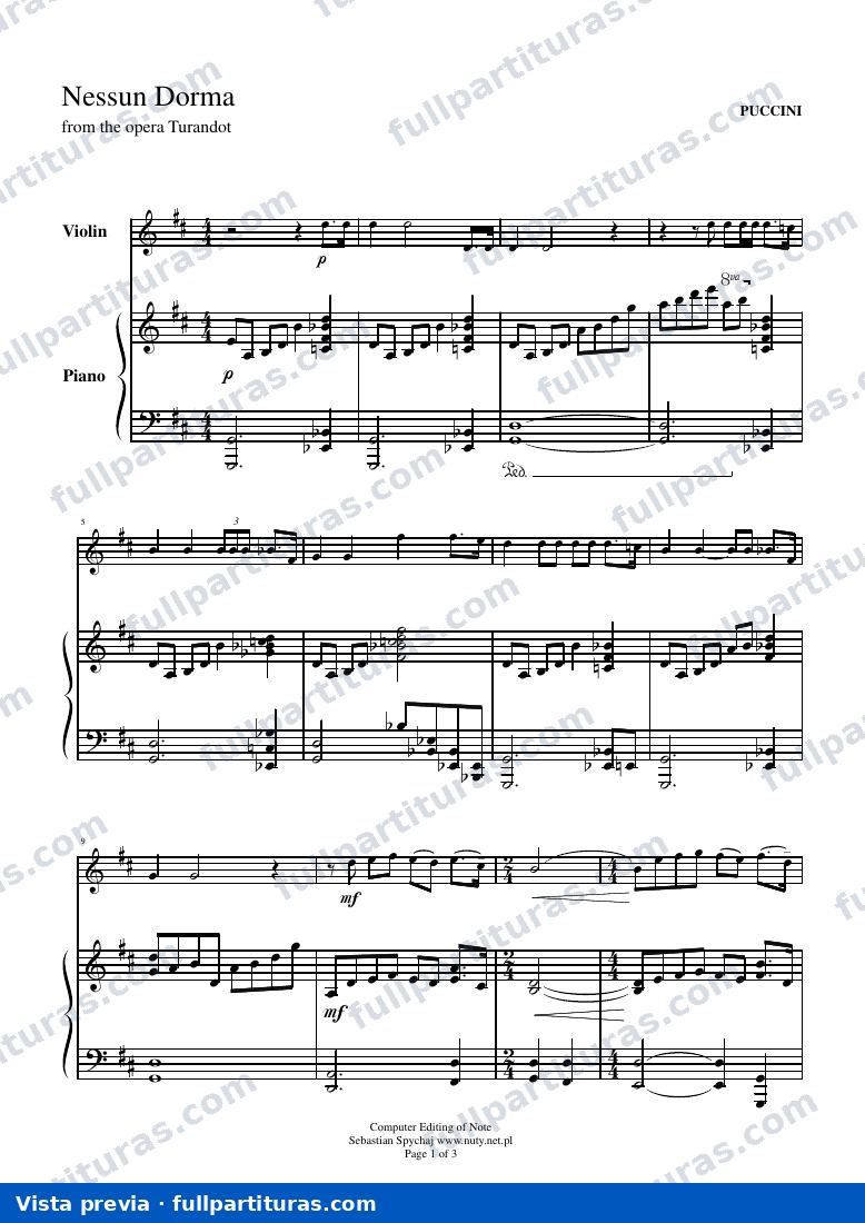 Nessun dorma — preview